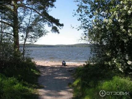 Синара снежинск