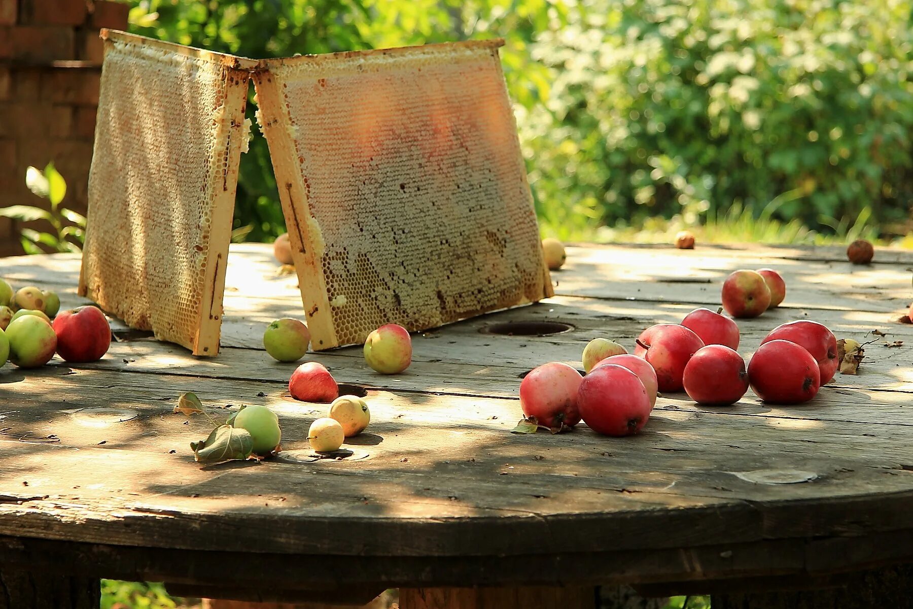 Осенний сад яблоки. Натюрморт с яблоками. Осень яблоки. Яблоки в саду. Яблоки сад натюрморт.