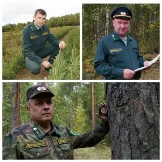 Лесные формы