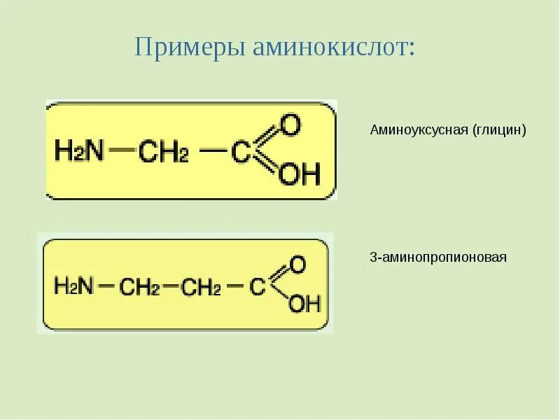 Аминокислоты примеры формул. Аминокислоты химия примеры. 2 примера аминокислот. аминокислоты примеры соединений. 2 метил 2 аминопропионовая кислота.