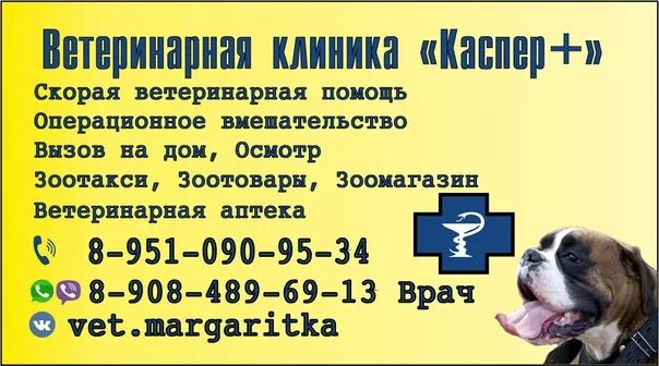Муниципальная ветклиника. Номер телефона ветеринарной клиники. Номер телефона ветеринарной лечебницы. Услуги ветеринарной клиники. Номер телефона ветеринарной лечебницы.