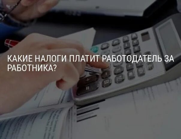 Какие налоги платит работодатель за работника 2024