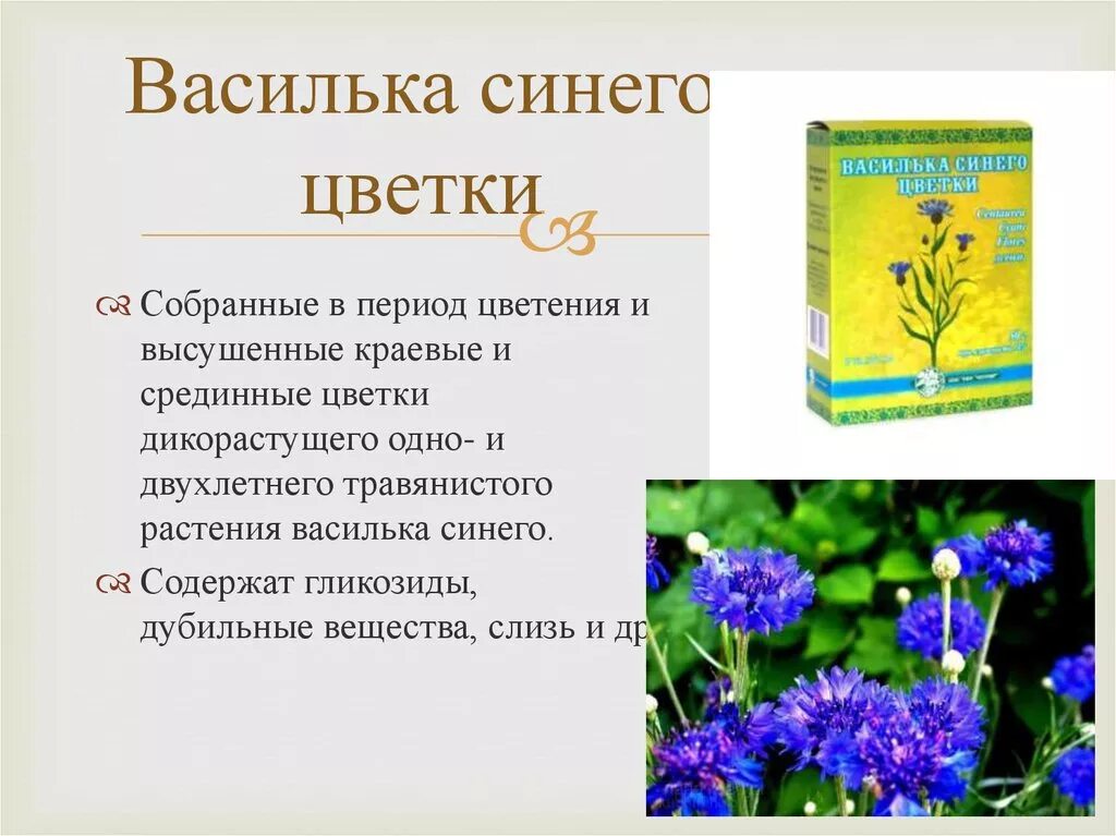 Василек текст описание. Цветки василька синего. Цветки василька синего ЛРС. Василёк синий описание.