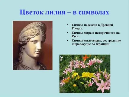 Названия древних цветов