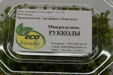 Сколько замачивать микрозелень