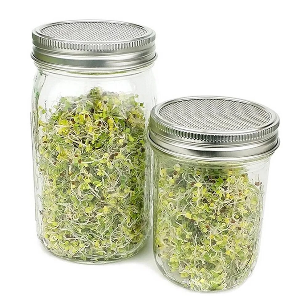 Хай банки. Sprouting Lid Mason Jar. Баночки для проращивания семян. Банки для микрозелени. Проращиватель банка.