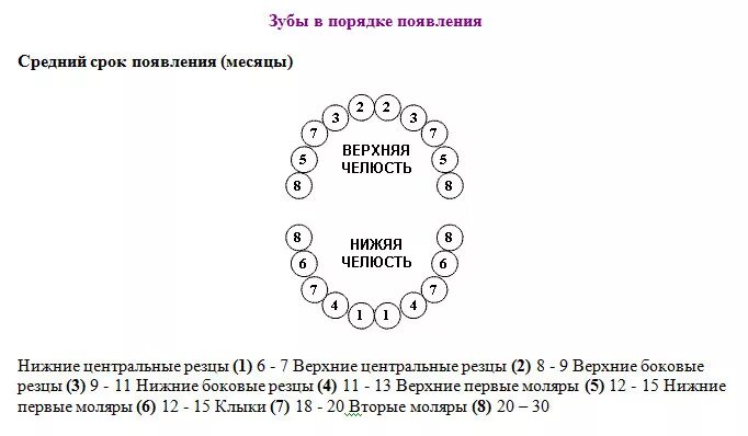 Зубы нумерация. Схема нумерации молочных зубов. номера молочных зубов у детей в стоматологии схема. нумерация детских зубов в стоматологии схема. нумерация молочных зубов в стоматологии схема у детей.