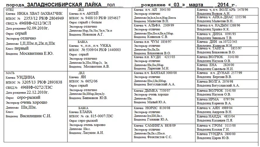 Кличка собаки суки. Клички для собак. Кличка для щенка двойные. Сложные клички для собак. Клички собак на букву т.