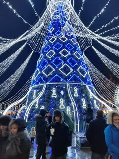 Красивые елки на 2024 год