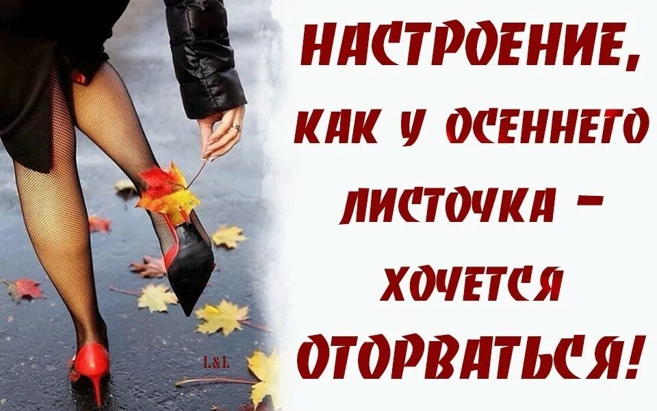 Смешные поздравления. Вдруг оторвемся. Уставшие тараканы в голове картинка. Открытки оторвались. Сообразим на троих.