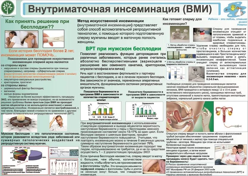 Ощущения после инсеминации. Внутренняя инсеминация. внутриматочная инсеминация. искусственной инсеминации. инсеминация результативность.