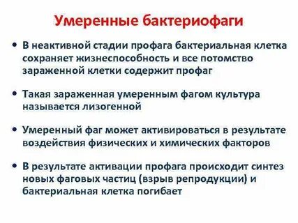 Умеренные бактериофаги