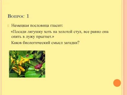 Пословица гласит