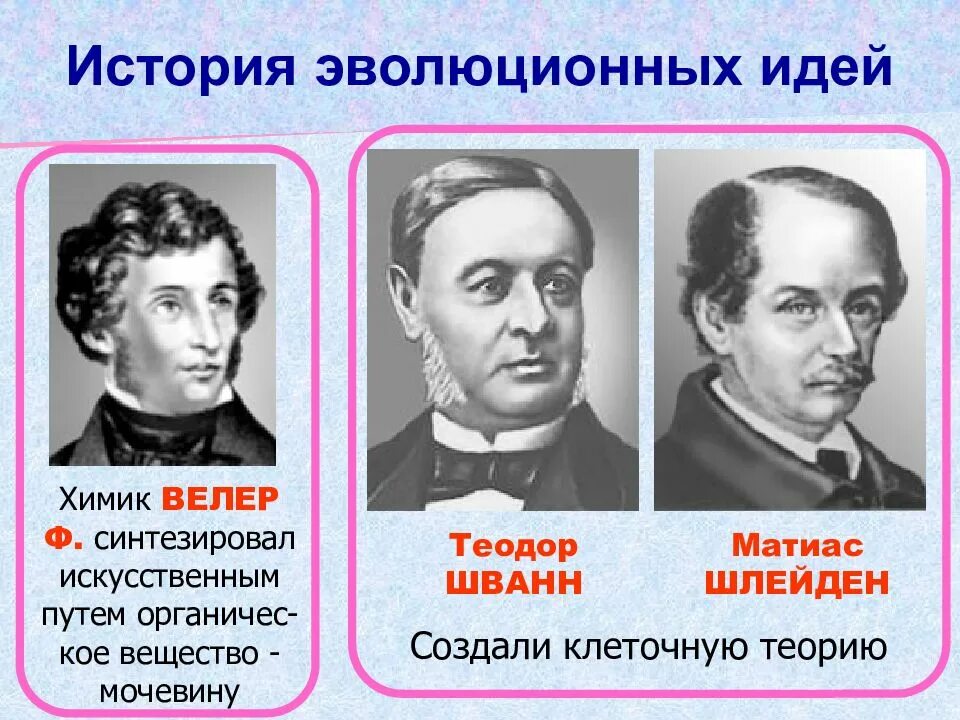 Матиас Шлейден эволюционные учения. История эволюционных идей. Эволюционные идеи. Развитие эволюционных идей.