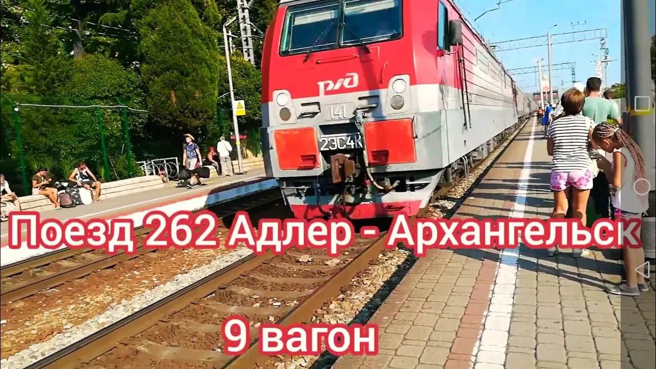 Поезд архангельск адлер купить. Поезд Архангельск Адлер 262. Поезд Архангельск Адлер. Поезд 262а. Архангельск Адлер.