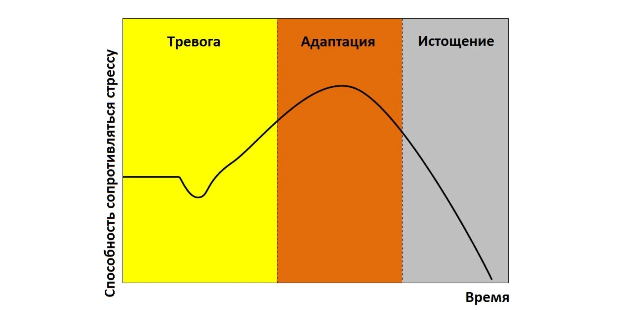 Стадия адаптации стресса