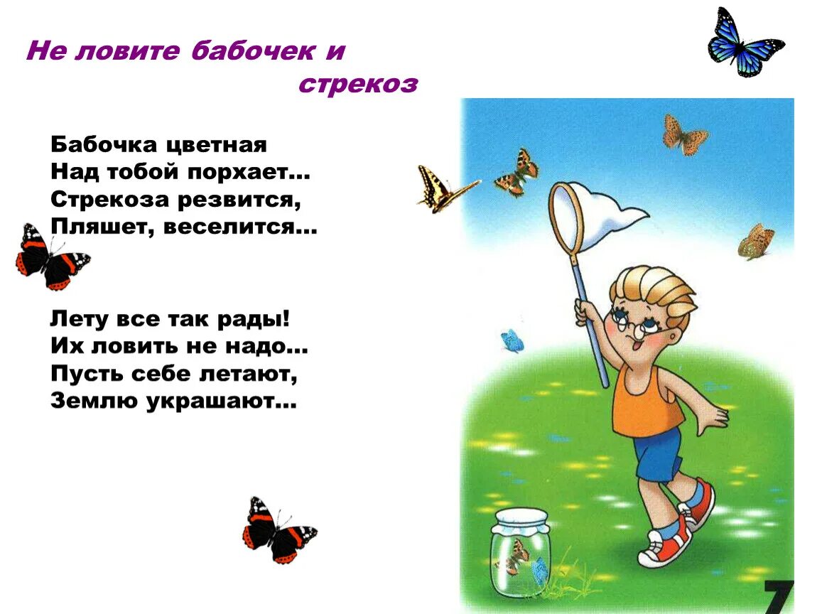 Презентация "Правила поведения в лесу"