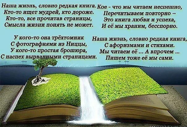Книга как жизнь человека. Стихи о книге жизни. книга жизни. жизнь как книга. страницы книги жизни.
