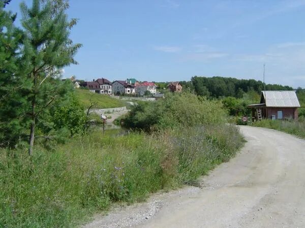 река шадриха новосибирская область. поселок шадриха новосибирская область. поселок шадриха. шадриха свердловская область. деревня шадриха свердловской области.