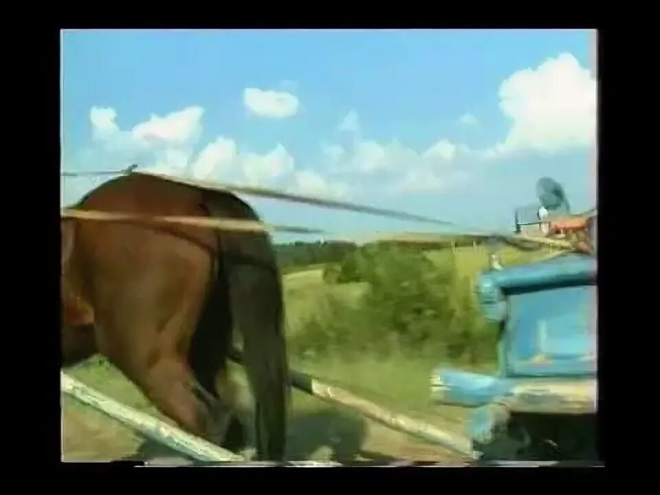 Старый конь клип. Старый конь клип. Старый конь клип. Стырй коньб борозды неиспротит. Старый конь песня.
