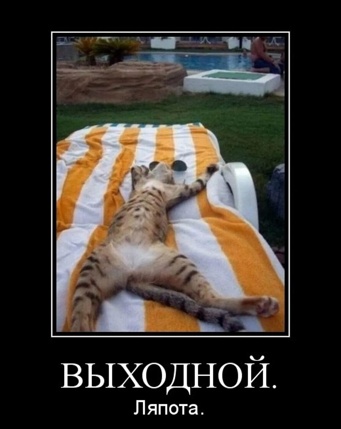 Выходной ура смешные. Приколы про выходные. выходной день приколы. демотиваторы про выходные. шутки про выходные.