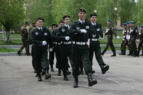 Зарница 11