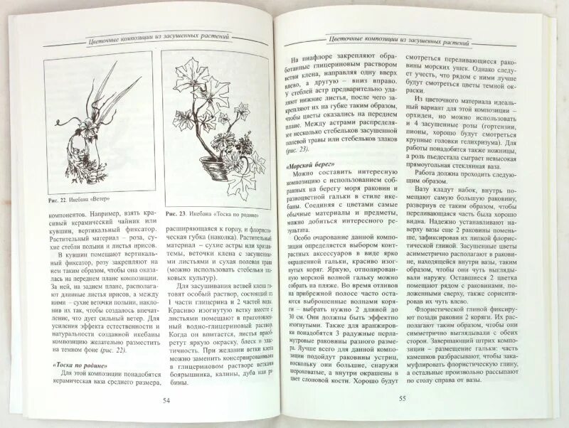 Рожденная второй книга. Второе рождение цветка / н.а. Сарафанова. Профиздат второе рождение цветка. Сборник второе рождение.