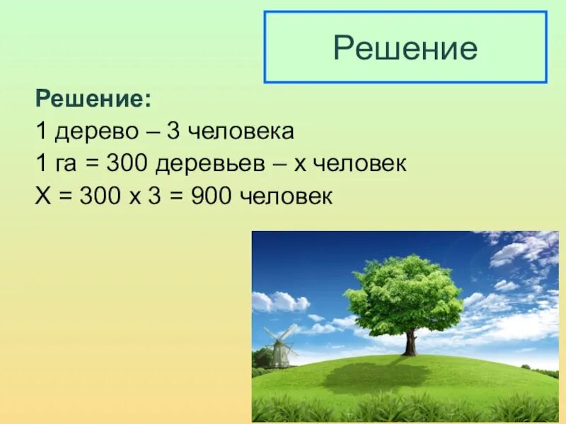 Сколько деревьев в москве. Га 300. 300 Деревьев. 1 Гектар леса это сколько. Проект дыхание растений 1 класс.