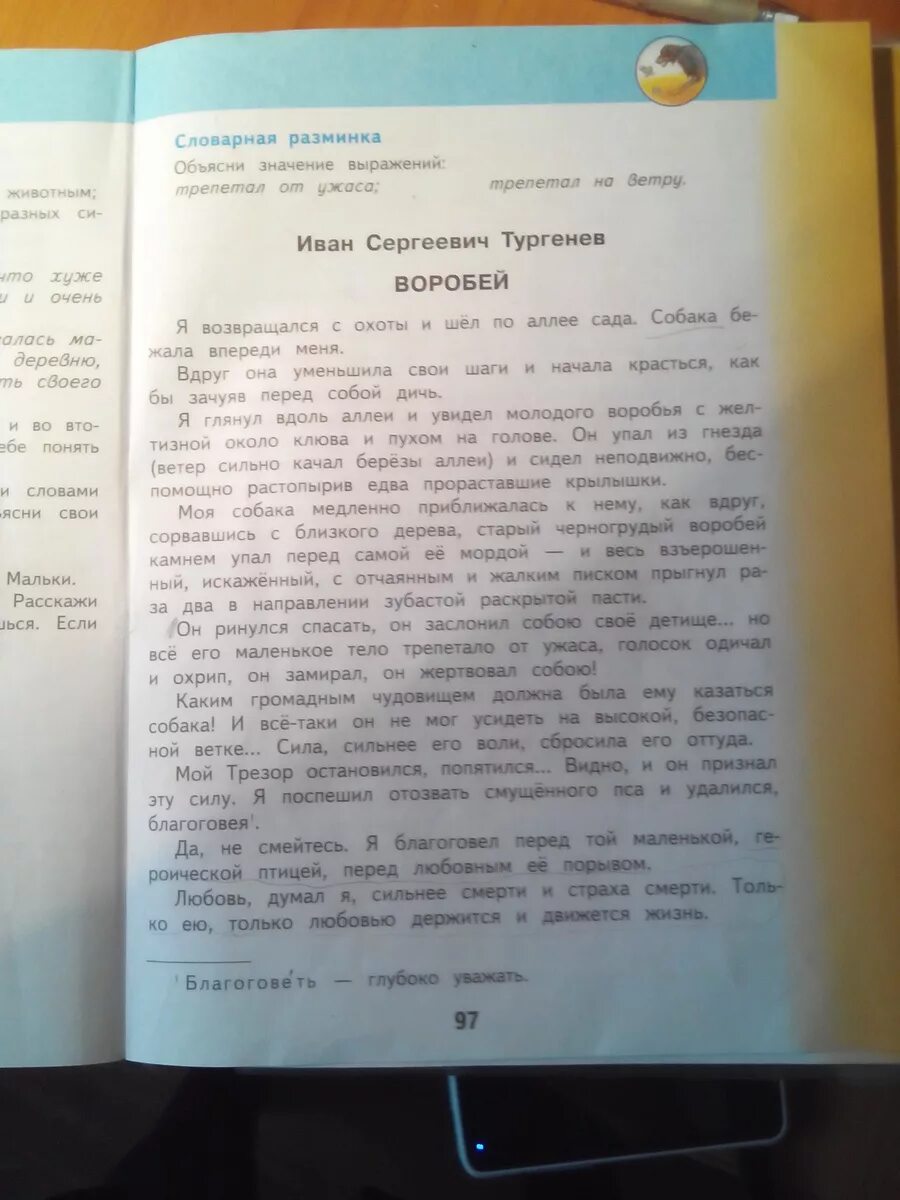 Сочинение по тексту тургенева. Сочинение ЕГЭ Текс Воробей. Изложение Воробей 6 класс я глянул вдоль аллеи. Как объединить смысл выражений :трепетал на ветру.