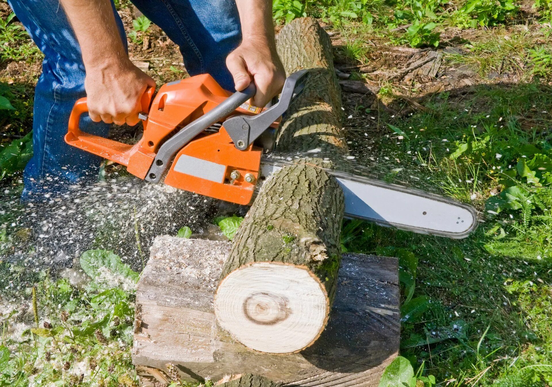 Stihl ms 211. распил бревна. спил дерева. бензопила для толстого дерева. электропила для обрезки деревьев в саду.