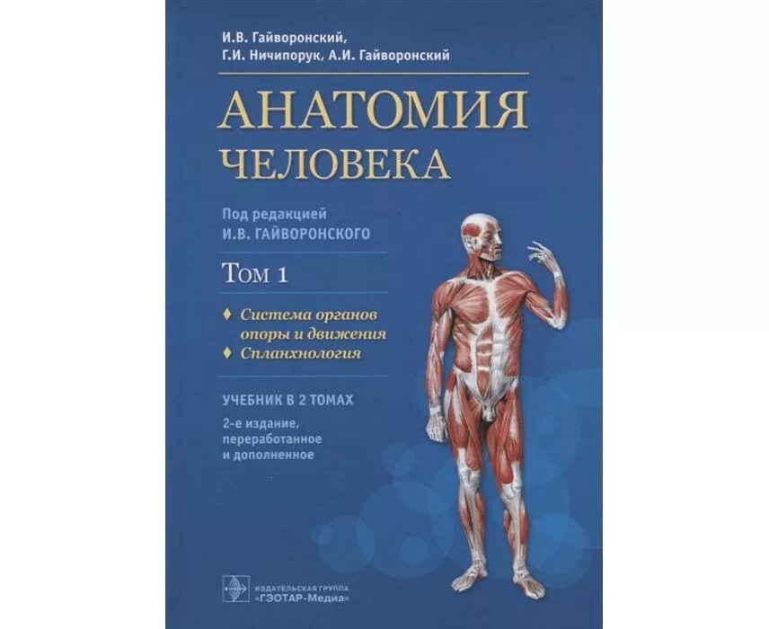нормальная анатомия человека гайворонский. гайворонский нормальная анатомия. гайворонский анатомия человека 1 том. гайворонский и. гайворонский ничипорук анатомия и физиология человека.