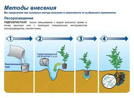 Почва удерживает воду