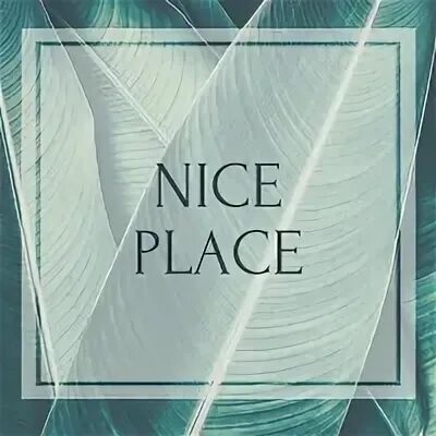Nice 1