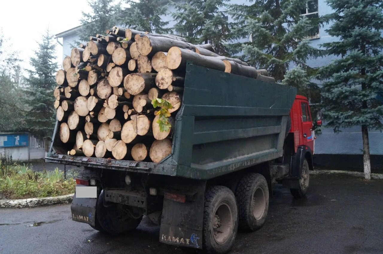 Газ 53 дрова осина. Уаз 3303 бортовой с дровами. Машина на дровах. Дрова большая машина. Дрова большая машина.