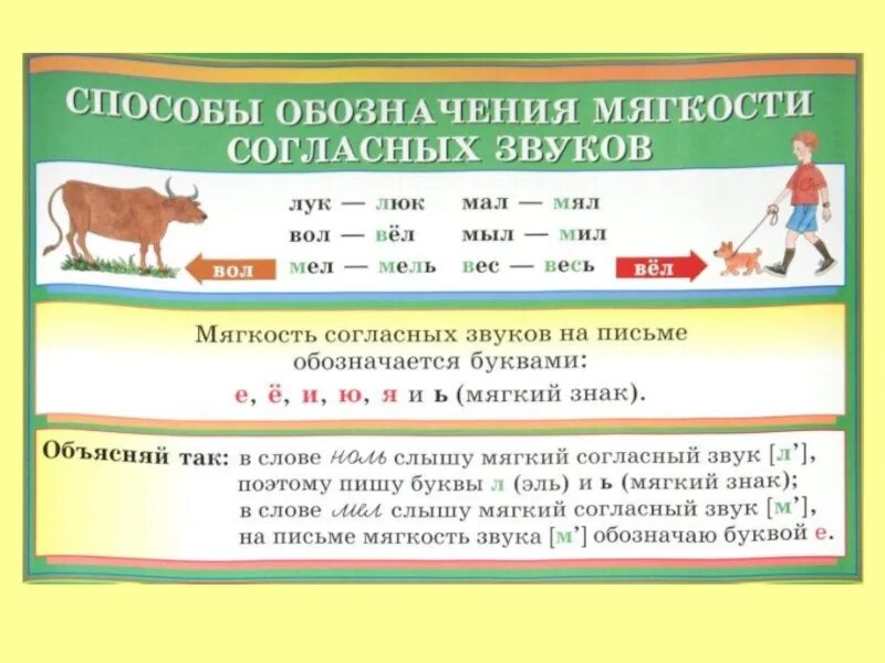 Мал какой звук обозначают. Обозначение мягкости согласных. способы обозначения мягкости согласных. мягкость согласных звуков на письме обозначается. слова обозначающие мягкость согласных.