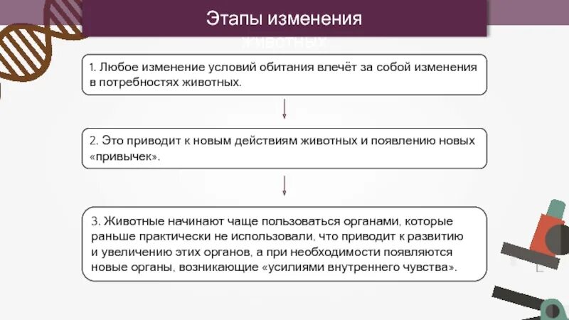 6 этапов изменений. Этапы изменений. Стадии изменений. Стадии пересмотра ГП. Смена стадий жизни у животных.