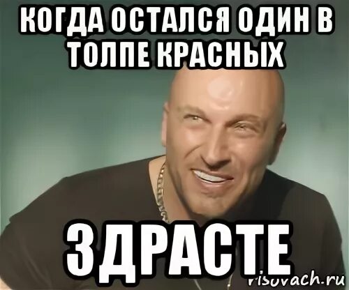 Давно не затихавшего. Тишина в чате. Тишина в группе. Молчуны в группе. Мемы про тишину в чате.