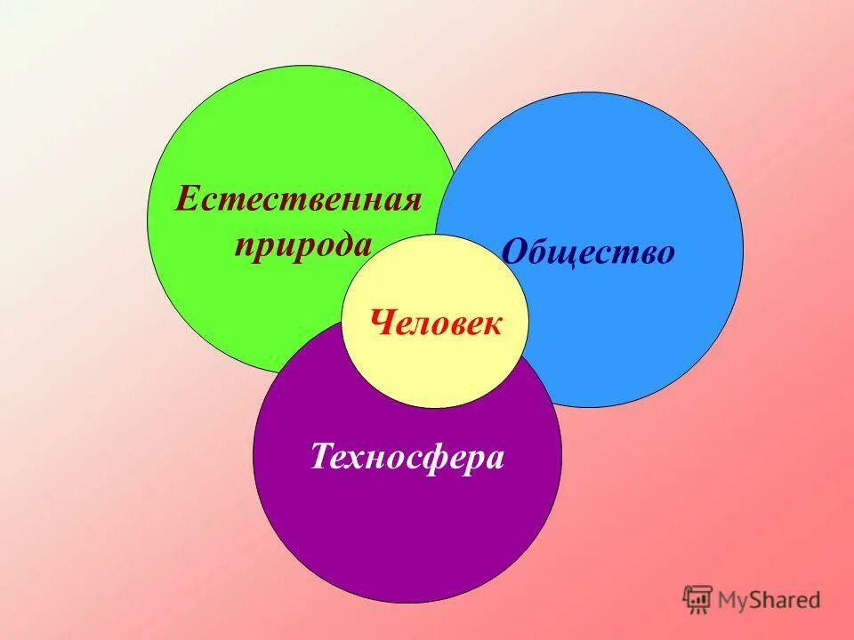 Общество природа человек изучение. Человек общество природа. человек природа общество и технологии. система человек общество природа. человек общество природа схема.