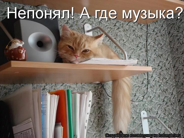 Котоматрица музыка. Непонимавший или не понимавший.