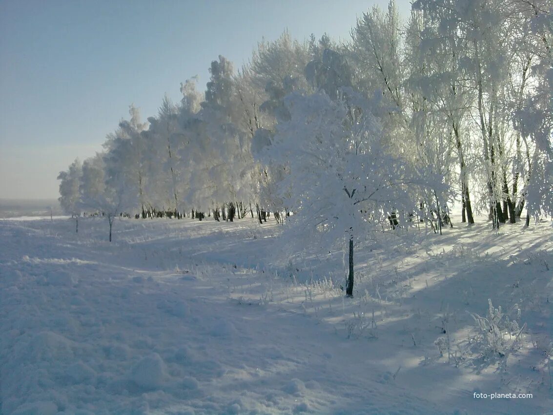 Село Новогольское Грибановского района. Грибановский зима. Село Новогольское Грибановского района Воронежской области. Новогольское сельское поселение Грибановского района фото.