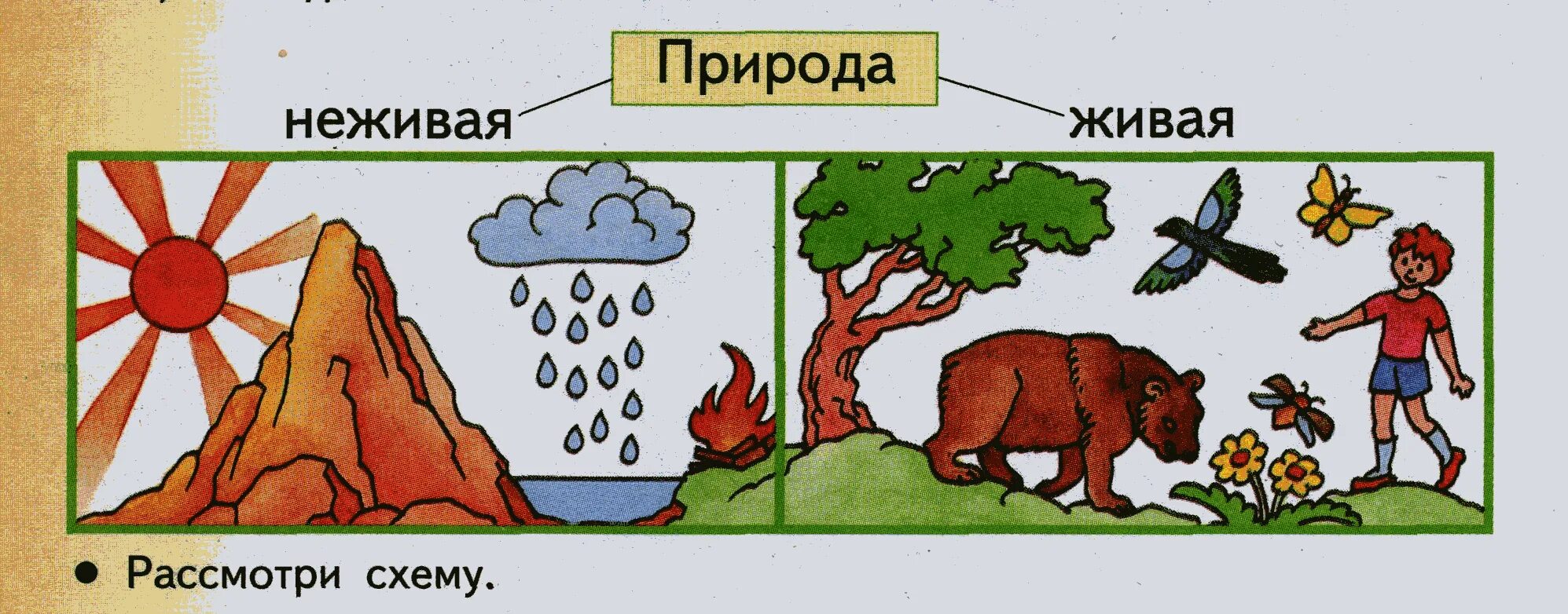 Россия живая неживая природа. Схема связи живой и неживой природы 2 класс окружающий мир. Объекты живой и неживой природы 1 класс окружающий мир. Схема связи между живой и неживой природой 2 класс окружающий мир. Живая и недива ЯПРИРОДА.