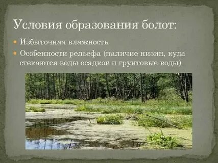 Образование болот