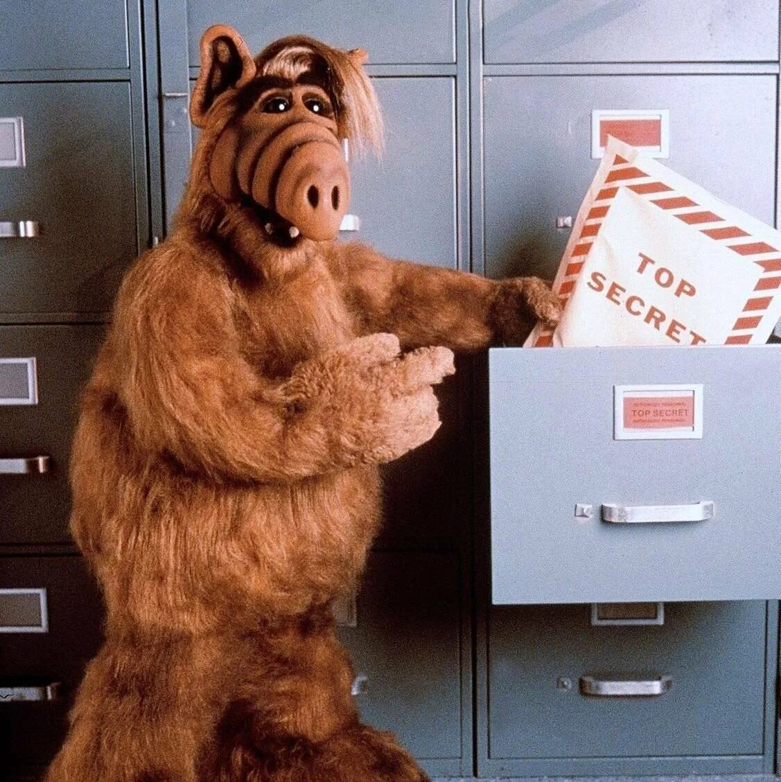 Alf 1986. Альф личный