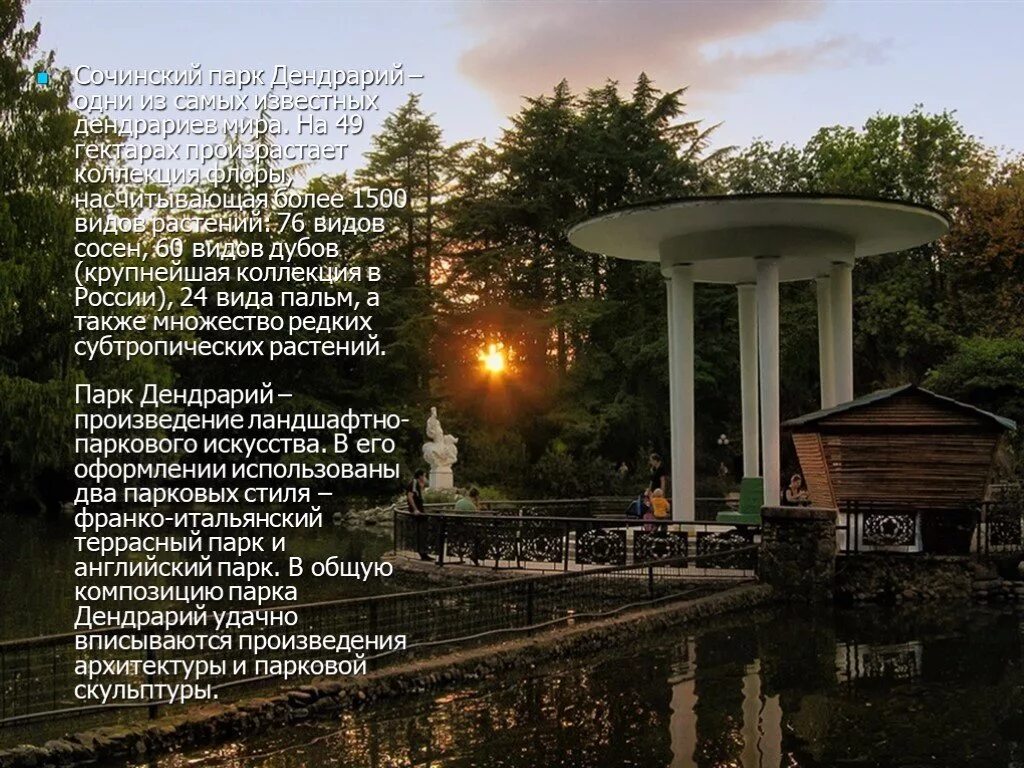 Парк сочинский сообщение 4 класс. Дендрарий сочи проект. рассказ о парке сочинский. рассказ о сочинском дендрарии. презентация сочинский дендрарий.