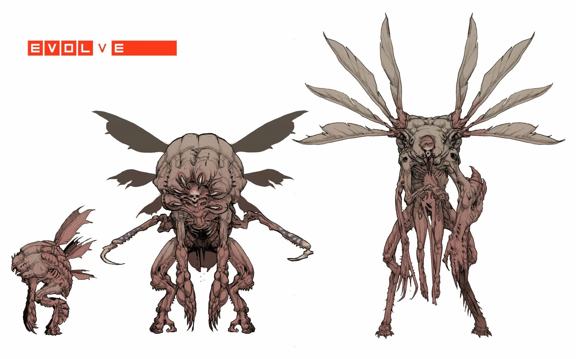 Evolve монстры бегемот. Монстр паразит концепт арт. Evolving space monster. Игра evolve монстр голиаф. Голиаф фэнтези концепт арт.
