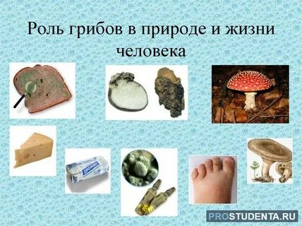 Имя в жизни человека это