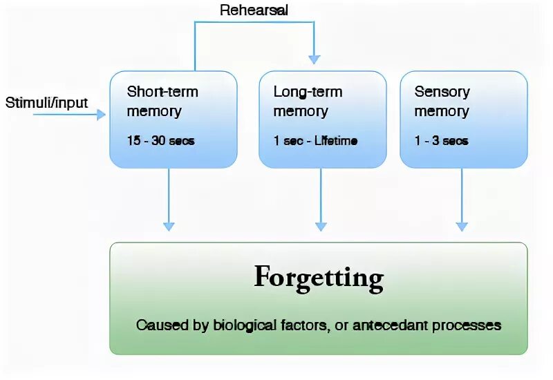 Types of forgetting