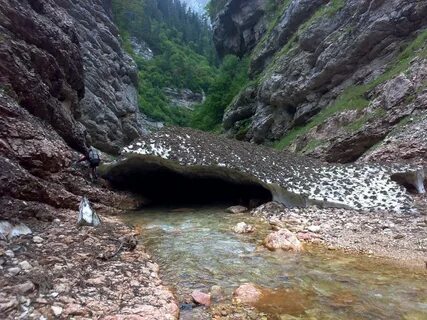 Фото цицы