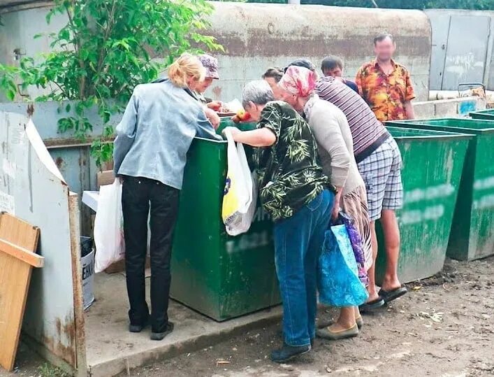 2 тысячи не пришли. Пенсионеры в помойках РФ. Роется в помойке единорос.