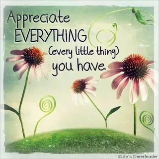 Everything you have done